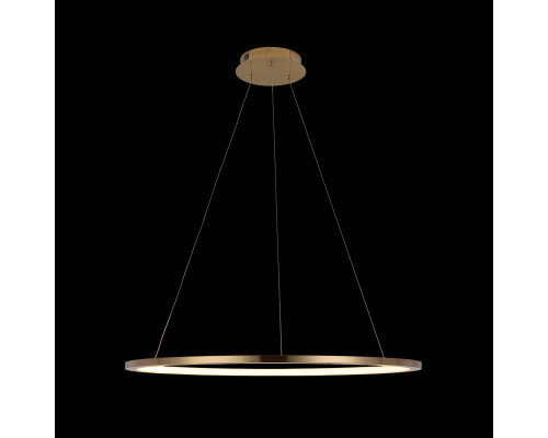 Дополнительное фото Светильник подвесной LED Loft IT Ring 10014L: Купить в Интернет магазин освещения GCSVET.RU