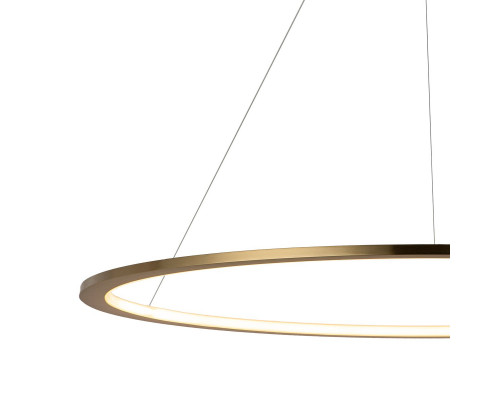 Дополнительное фото Светильник подвесной LED Loft IT Ring 10014L: Купить в Интернет магазин освещения GCSVET.RU