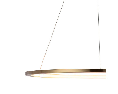 Дополнительное фото Светильник подвесной LED Loft IT Ring 10014L: Купить в Интернет магазин освещения GCSVET.RU
