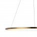 Дополнительное фото Светильник подвесной LED Loft IT Ring 10014L: Купить в Интернет магазин освещения GCSVET.RU