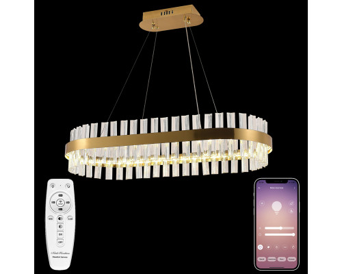 Основное фото Люстра подвесная Natali Kovaltseva LED LAMPS 81252: Купить в Интернет магазин освещения GCSVET.RU
