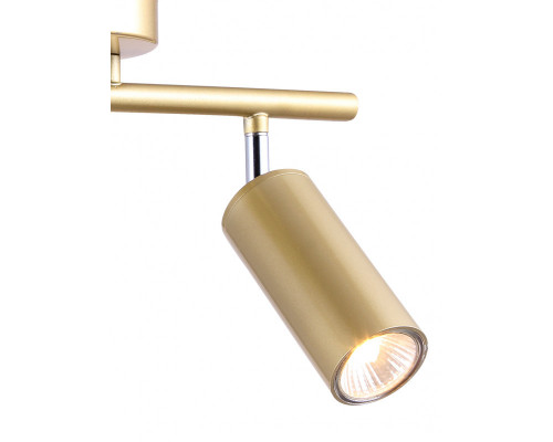 Дополнительное фото Светильник спот Natali Kovaltseva TRINITY 76055/2W GOLD SATIN: Купить в Интернет магазин освещения GCSVET.RU