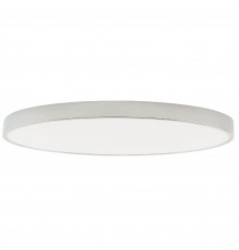 Светильник потолочный Zortes Tortty ZRS.02565.120