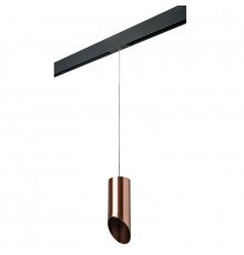 Светильник трековый Lightstar Rullo PRORP43030 (214430+595857+201430)