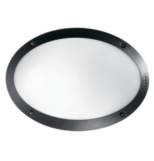 Светильник настенный для улицы Ideal Lux Maddi-1 AP1 Nero 096704