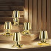 Дополнительное фото Лампа настольная Loft IT Brothers 10233/E Gold: Купить в Интернет магазин освещения GCSVET.RU