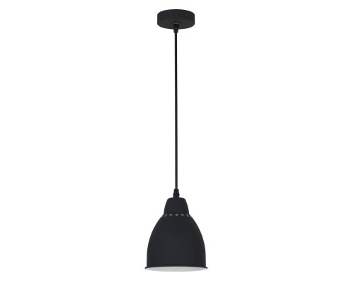 Основное фото Светильник подвесной Arte Lamp Braccio A2054SP-1BK: Купить в Интернет магазин освещения GCSVET.RU