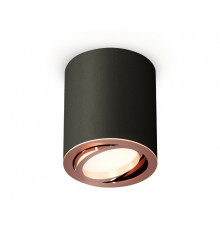 Светильник потолочный Ambrella Light Techno Spot XS7422004 (C7422, N7005)