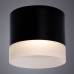 Дополнительное фото Светильник потолочный Arte Lamp Castor A5554PL-1BK: Купить в Интернет магазин освещения GCSVET.RU