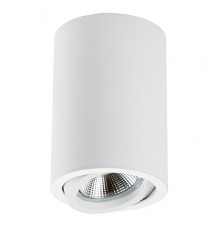 Светильник накладной Lightstar Rullo 214406
