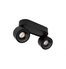 Накладной Светильник спот Loft IT Focus 10323/2A Black
