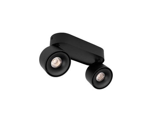 Основное фото Накладной Светильник спот Loft IT Focus 10323/2A Black: Купить в Интернет магазин освещения GCSVET.RU