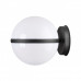 Основное фото Уличный светильник настенный Odeon Light 4832/1W: Купить в Интернет магазин освещения GCSVET.RU