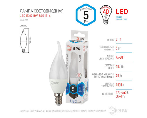 Основное фото Светодиодная лампочка Эра LED BXS-5W-840-E14 Б0027968: Купить в Интернет магазин освещения GCSVET.RU