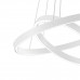 Дополнительное фото Светильник подвесной Maytoni Rim MOD058PL-L55W4K: Купить в Интернет магазин освещения GCSVET.RU