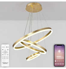 Люстра подвесная Natali Kovaltseva Oreol LED LAMPS 81279