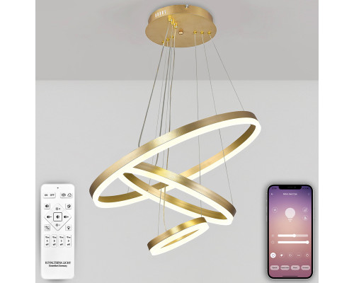 Основное фото Люстра подвесная Natali Kovaltseva Oreol LED LAMPS 81279: Купить в Интернет магазин освещения GCSVET.RU
