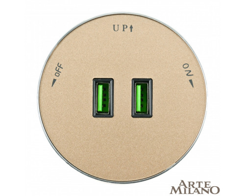 Дополнительное фото Трековая розетка Arte Milano Am-track-sockets 380011TS/USBx2 Gold: Купить в Интернет магазин освещения GCSVET.RU