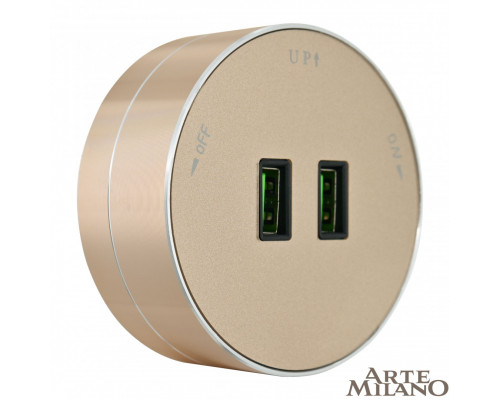 Дополнительное фото Трековая розетка Arte Milano Am-track-sockets 380011TS/USBx2 Gold: Купить в Интернет магазин освещения GCSVET.RU