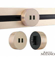Трековая розетка Arte Milano Am-track-sockets 380011TS/USBx2 Gold