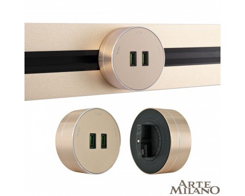 Основное фото Трековая розетка Arte Milano Am-track-sockets 380011TS/USBx2 Gold: Купить в Интернет магазин освещения GCSVET.RU
