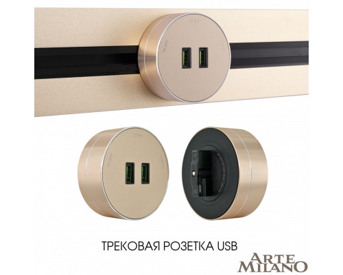 Дополнительное фото Трековая розетка Arte Milano Am-track-sockets 380011TS/USBx2 Gold: Купить в Интернет магазин освещения GCSVET.RU