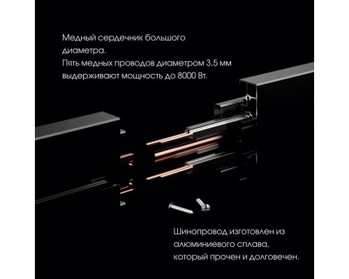 Дополнительное фото Трековая розетка Arte Milano Am-track-sockets 380011TS/USBx2 Gold: Купить в Интернет магазин освещения GCSVET.RU