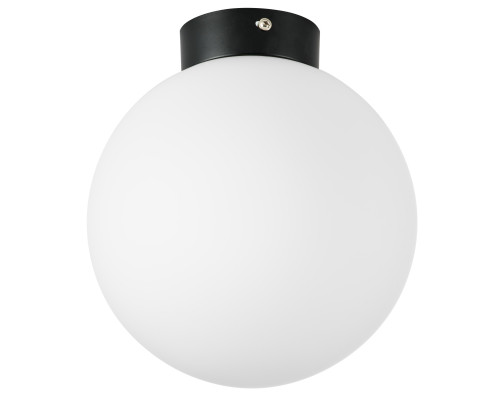 Основное фото Светильник потолочный Lightstar Globo 812027: Купить в Интернет магазин освещения GCSVET.RU