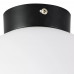 Дополнительное фото Светильник потолочный Lightstar Globo 812027: Купить в Интернет магазин освещения GCSVET.RU