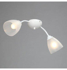 Люстра потолочная Vitaluce V3737-0/2PL