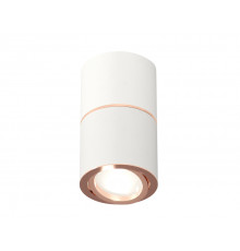 Светильник потолочный Ambrella Light Techno Spot XS7401220 (C7401, A2073, C7401, N7005)