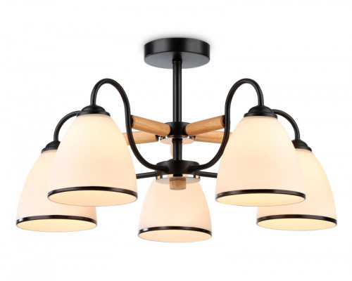Основное фото Потолочная люстра Ambrella Light Modern TR3033245: Купить в Интернет магазин освещения GCSVET.RU