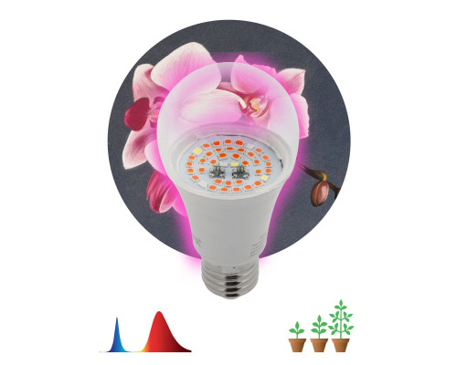 Дополнительное фото Светодиодная лампа для растений ЭРА E27 14W 1310K FITO-14W-RB-E27-K Б0039071: Купить в Интернет магазин освещения GCSVET.RU
