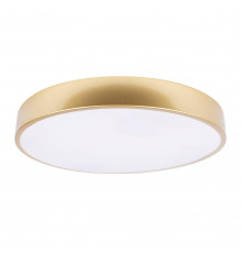 Светильник потолочный Loft IT Flims 10228/A
