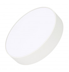 Светильник потолочный Arlight IM-RONDO-EMERGENCY-3H-R250-33W Warm3000 (WH, 120 deg, 230V) 041062