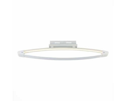 Основное фото Светильник потолочный LED ST Luce SL920.102.01: Купить в Интернет магазин освещения GCSVET.RU