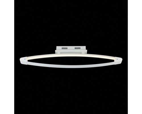 Дополнительное фото Светильник потолочный LED ST Luce SL920.102.01: Купить в Интернет магазин освещения GCSVET.RU