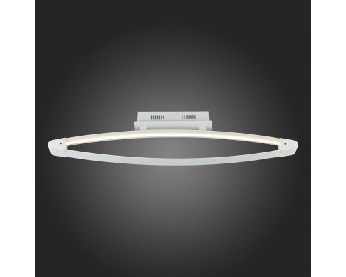 Дополнительное фото Светильник потолочный LED ST Luce SL920.102.01: Купить в Интернет магазин освещения GCSVET.RU