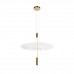 Дополнительное фото Светильник подвесной Loft IT Skylar 10244/A Brass: Купить в Интернет магазин освещения GCSVET.RU