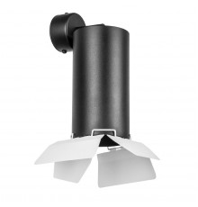 Настенный светильник Lightstar Rullo (216487+590107+202486) RB6487486