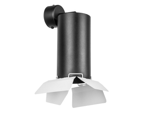 Основное фото Настенный светильник Lightstar Rullo (216487+590107+202486) RB6487486: Купить в Интернет магазин освещения GCSVET.RU