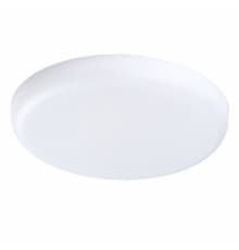 Светильник влагозащищенный Lightstar Zocco 221362