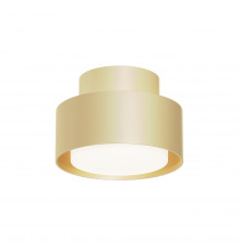Светильник потолочный Maytoni Space C092CL-GX53-MG