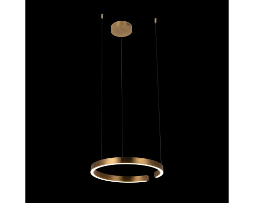 Дополнительное фото Светильник подвесной LED Loft IT Ring 10013M: Купить в Интернет магазин освещения GCSVET.RU