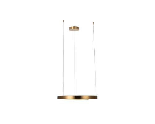 Дополнительное фото Светильник подвесной LED Loft IT Ring 10013M: Купить в Интернет магазин освещения GCSVET.RU