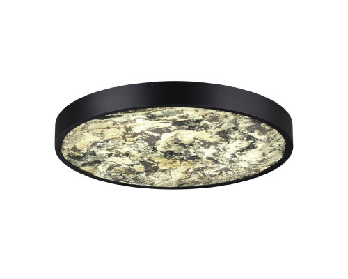 Дополнительное фото Настенно-Светильник потолочный Odeon Light Bergi 5064/40L: Купить в Интернет магазин освещения GCSVET.RU