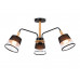 Основное фото Люстра потолочная Ambrella Light Modern Losk TR4740: Купить в Интернет магазин освещения GCSVET.RU