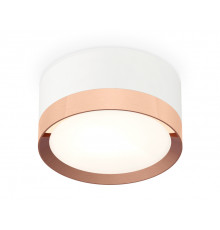 Светильник потолочный Ambrella Light Techno Spot XS8101006 (C8101, N8126)