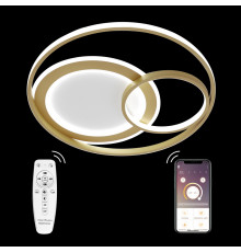 Люстра потолочная Natali Kovaltseva LED LAMPS 81312