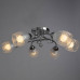 Дополнительное фото Люстра потолочная Arte Lamp Debora A6055PL-6CC: Купить в Интернет магазин освещения GCSVET.RU